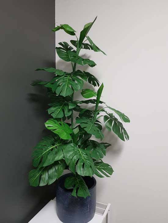 Artificial Split Philodendron Plant 150cm