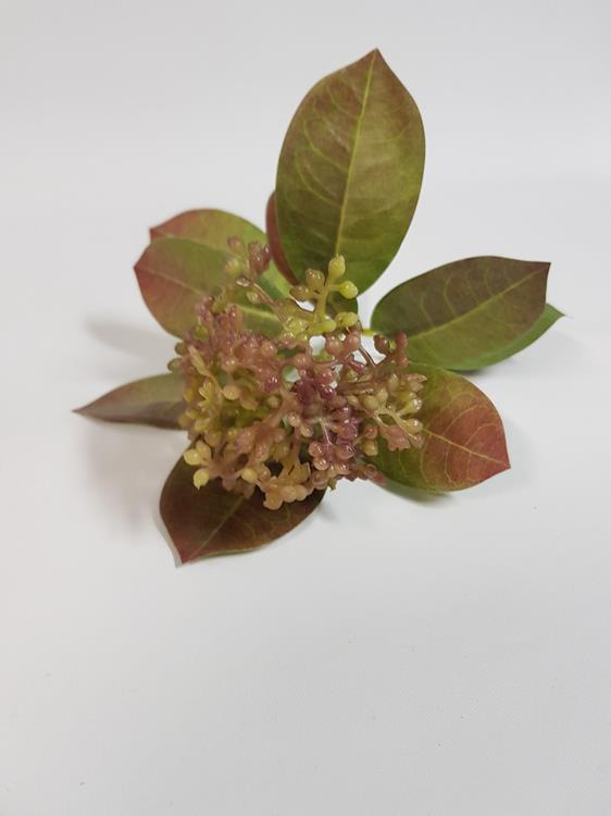 Artificial Berry Spray Two Tone - Image 3