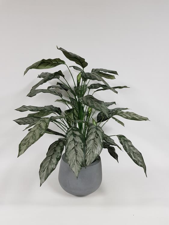 Artificial Silver Queen Plant 86cm