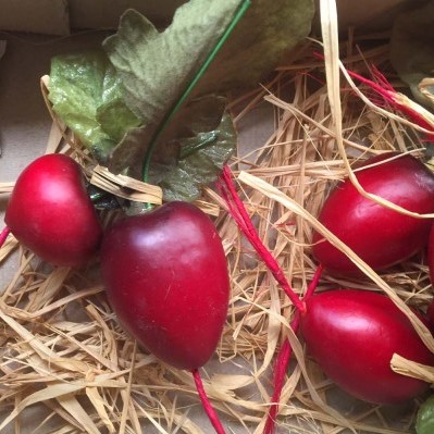 Artificial Radish