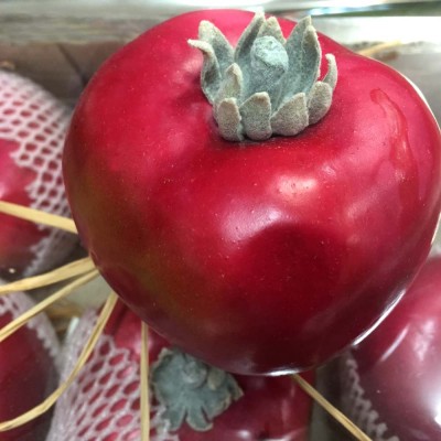 Artificial Tomato