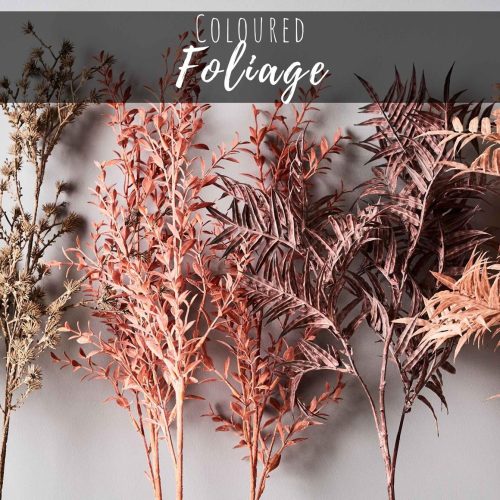 Coloured Foliage
