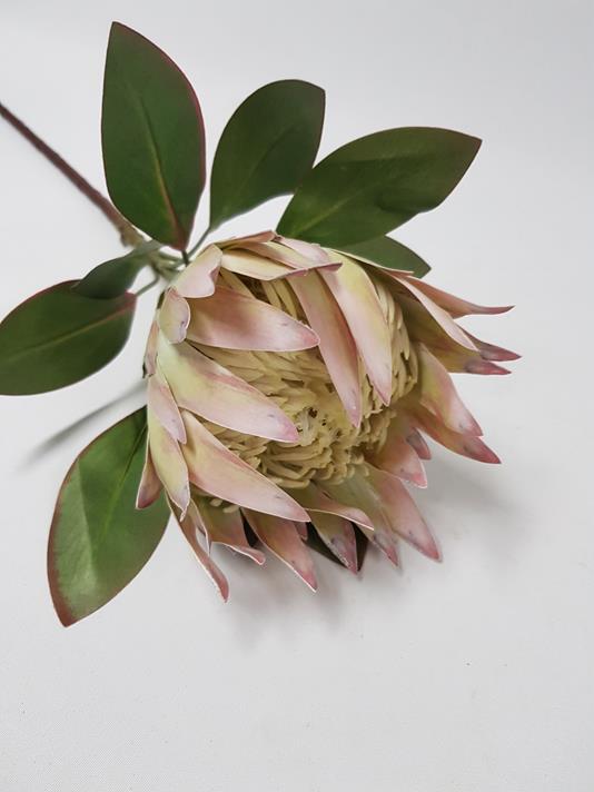 King Protea Lilac 76cm - Image 2