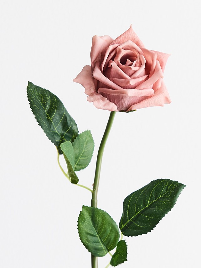 Rose Louise Dusty Pink 46cm