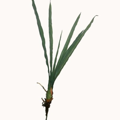 Artificial Cymbidium Orchid Leaf 70cm - Image 2