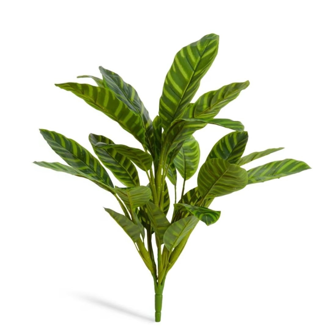 Artificial Calathea Zeb Bush 57cm