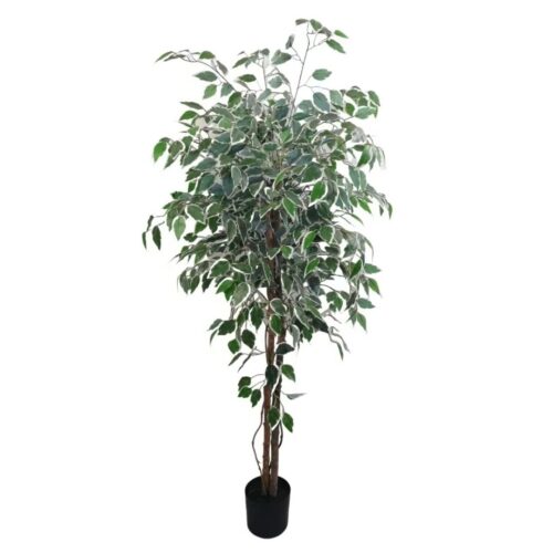 Artificial Ficus Tree variegated Potted 155cm