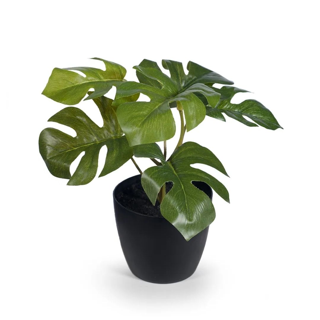 Artificial Mini Monstera Plant 15cm