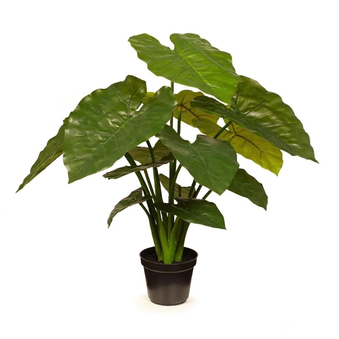 Artificial Taro Plant 56cm