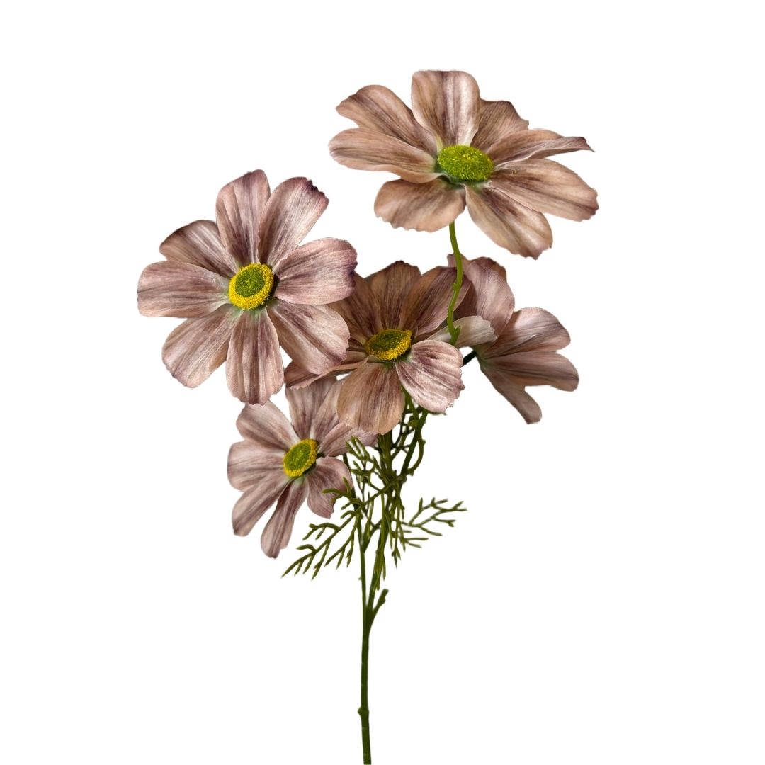 Artificial Cosmos Mocha 57cm