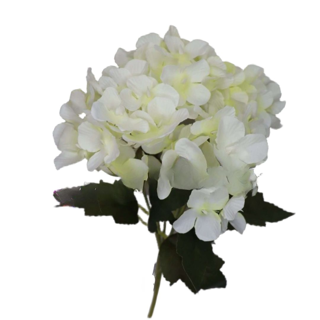 Hydrangea Bunch White