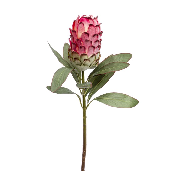Artificial Native Protea Pink 75cm